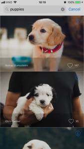 Swift Photo Search Puppies